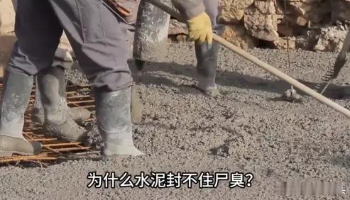 为什么水泥封不住尸臭味，但是葡萄树下却能封住？ 先说说水泥为啥挡不住尸臭，美国有