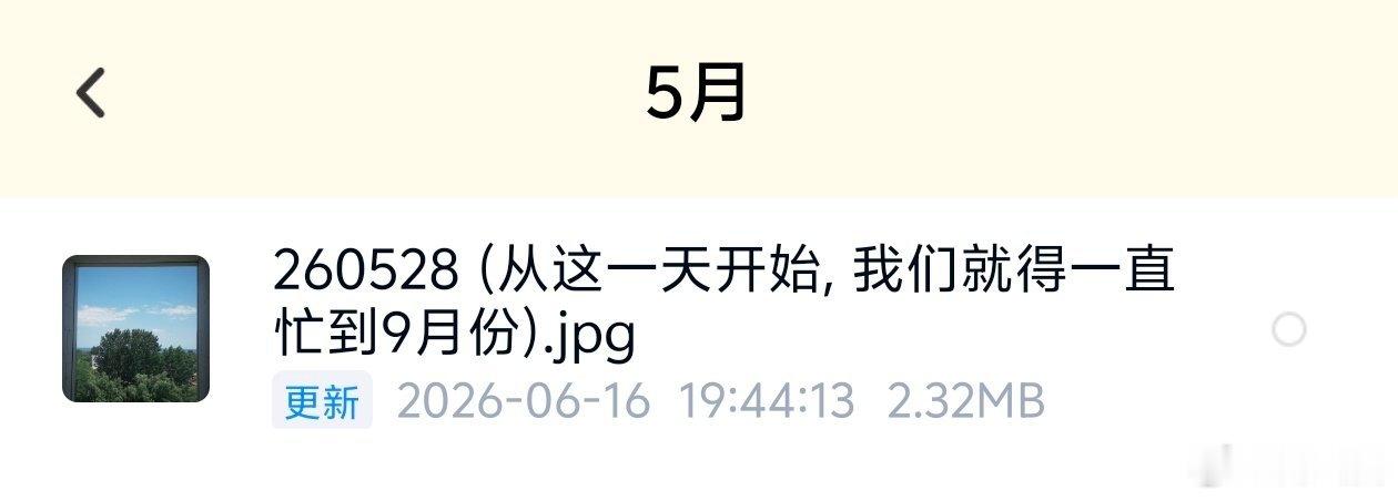 终于忙起来了