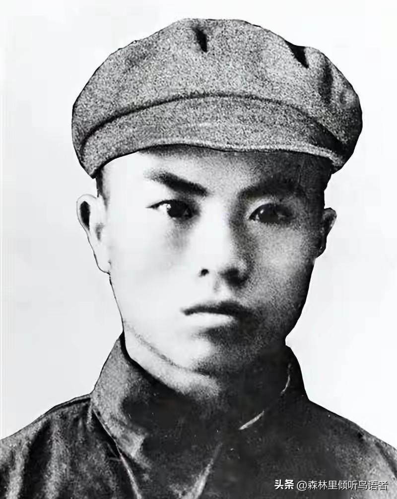 1952年，抗美援朝战场上，志愿军战士罗盛教为营救朝鲜落水少年，毅然跳入冰窟，耗
