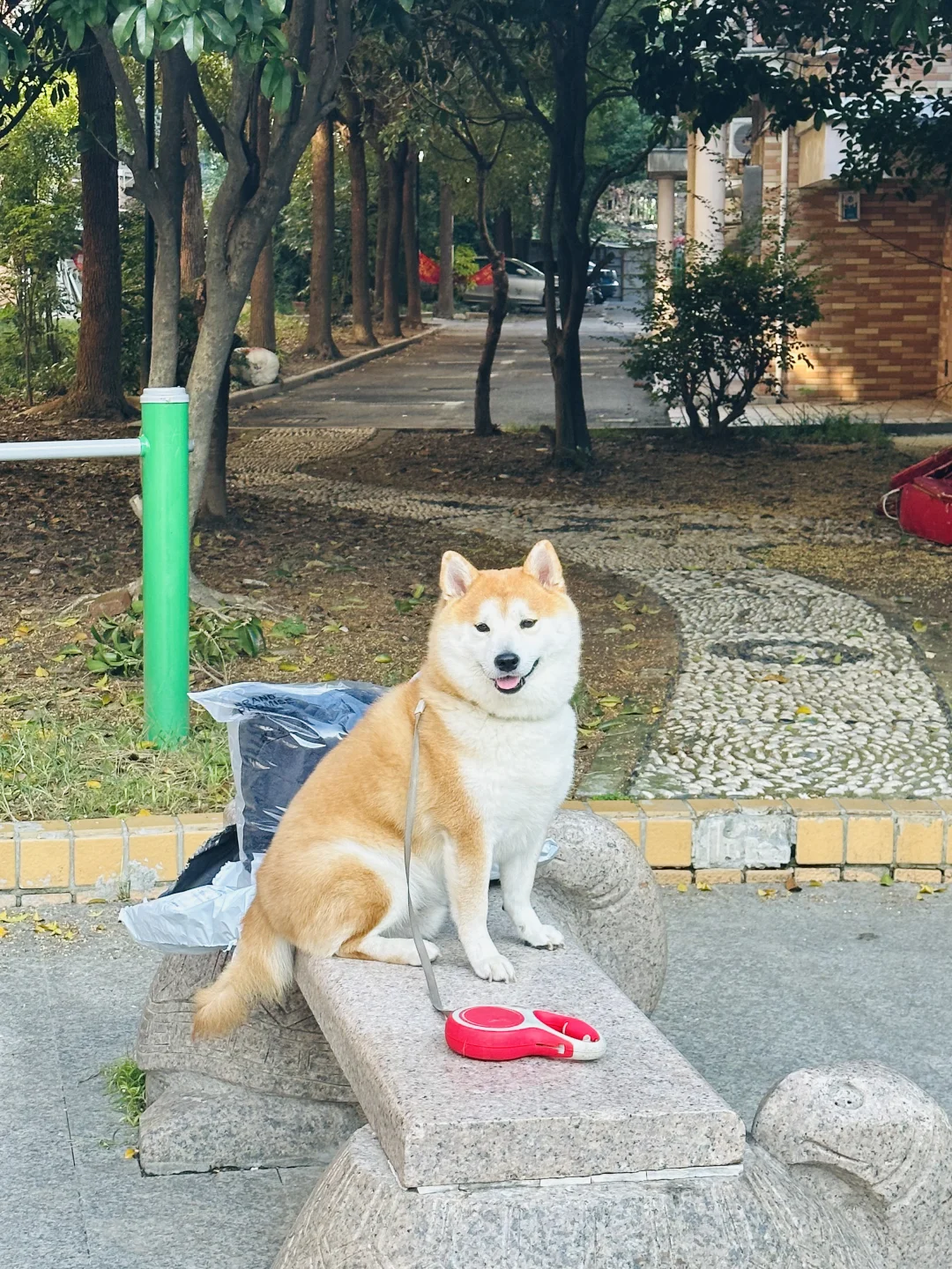 嗨～～～