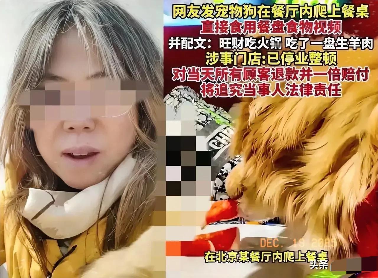 这下出名了，
纵容狗上桌舔盘子，
还发视频炫耀，夸自己家的狗，“太棒了”！
北京