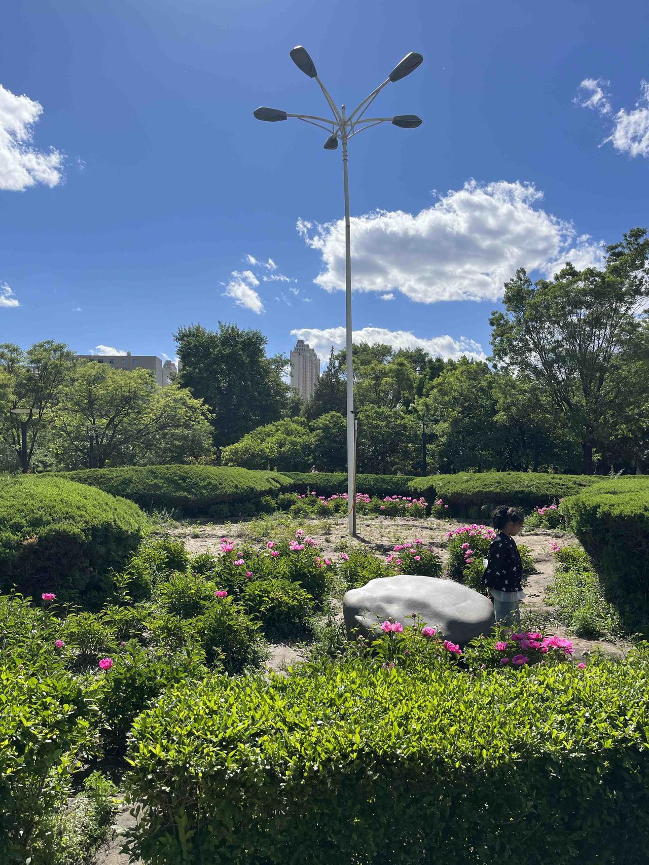 树下花草密，
村中马牛多。
横批：《花草密与马牛多》