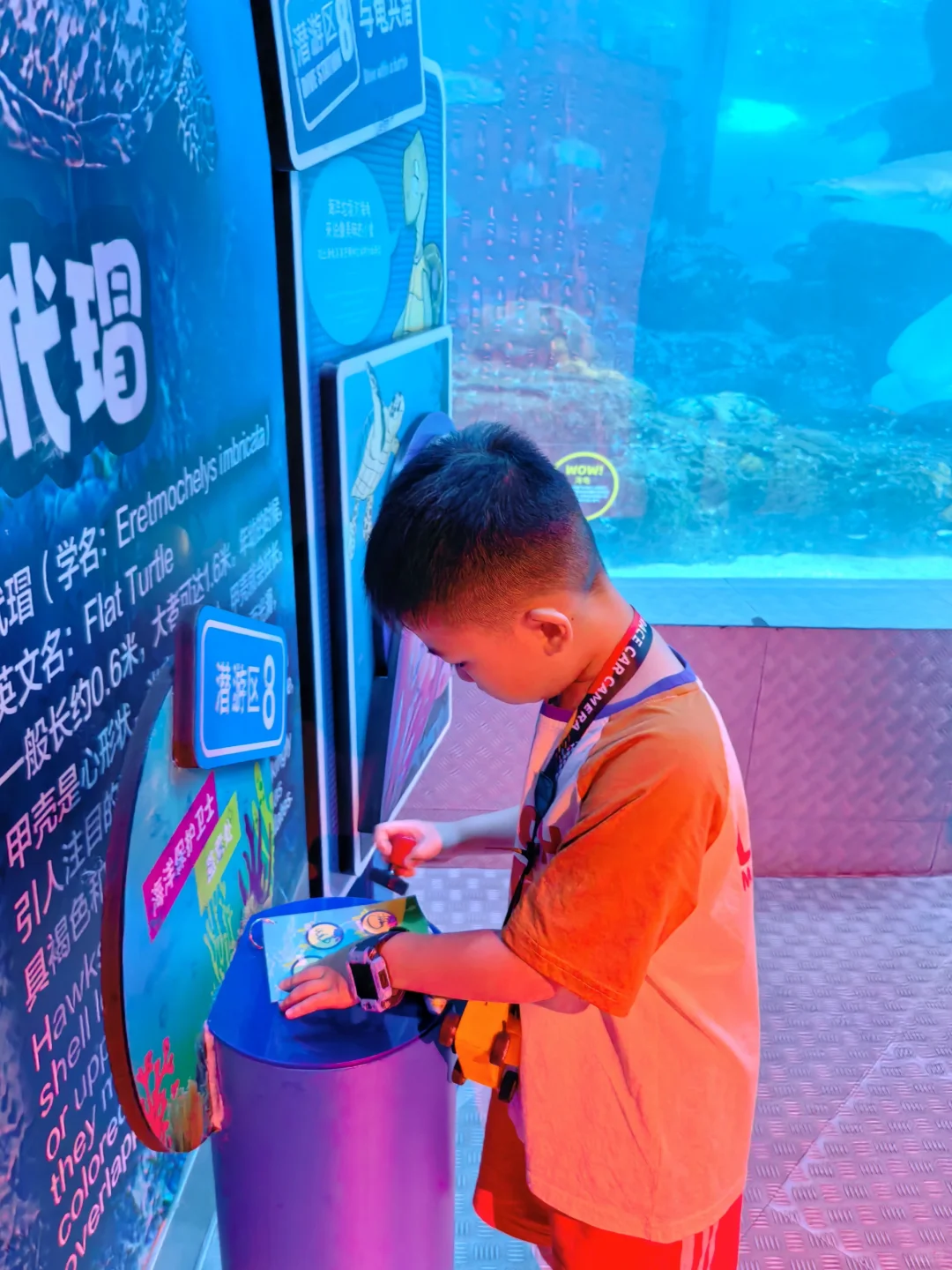 不看人海看🐟海🩵💙海底隧道空镜㊙️