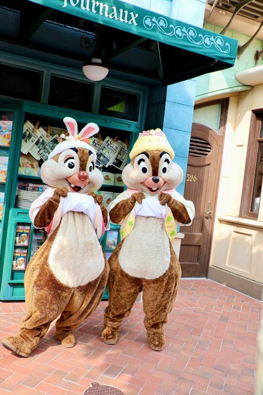 ❤️奇奇蒂蒂小可爱❤️春日🔚