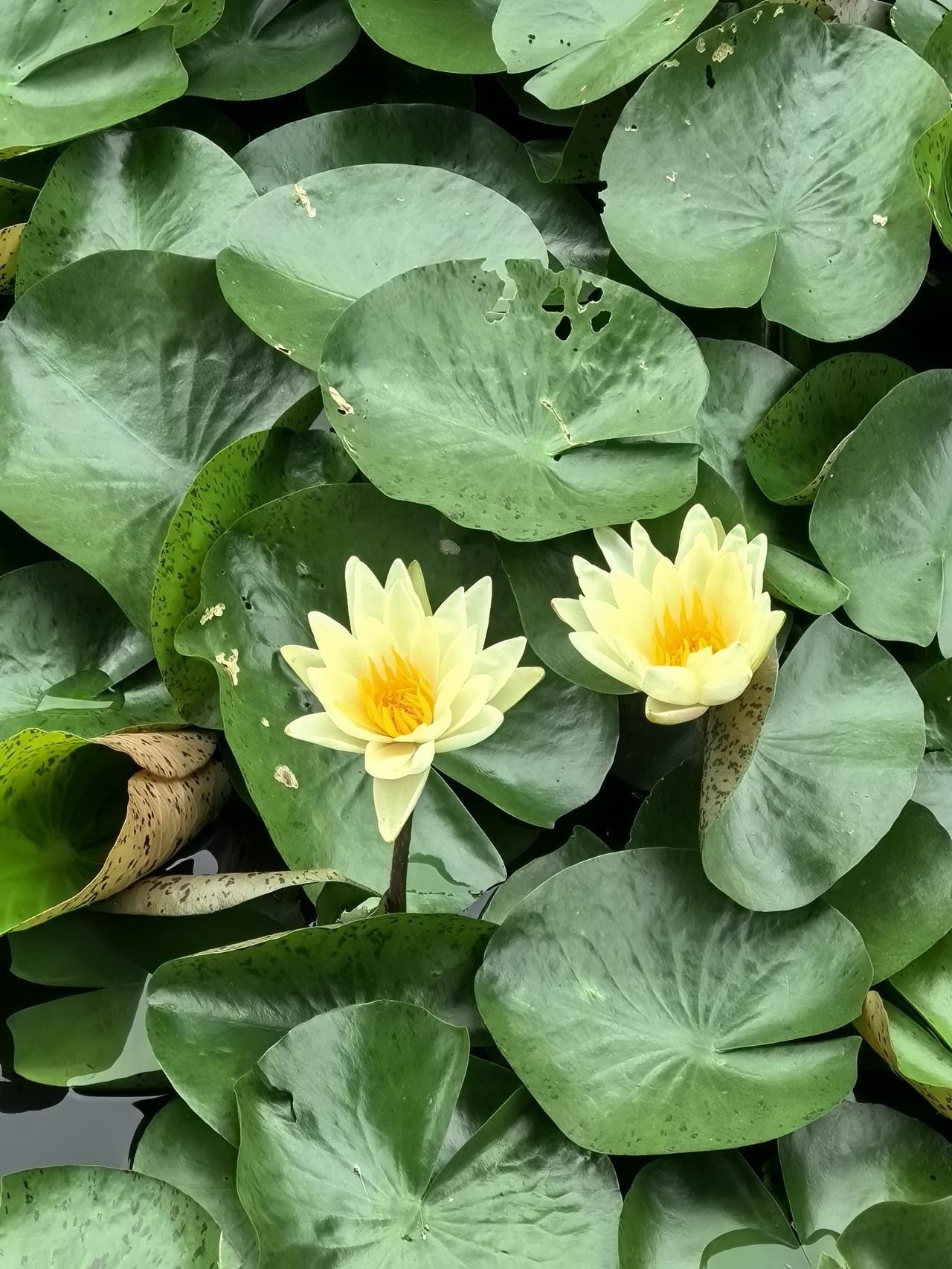 有些事看透不说透，装装傻就过去了，没必要和爱耍心机的人计较，这也是对自己的保护。