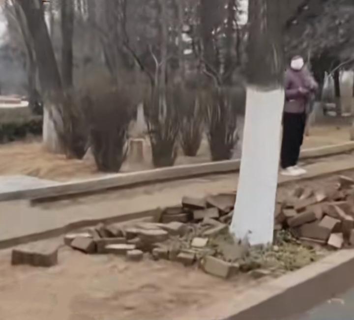 猖狂，竟敢偷挖人行道上的地砖！
     山东东营市某人行大道上铺设的地砖被一群