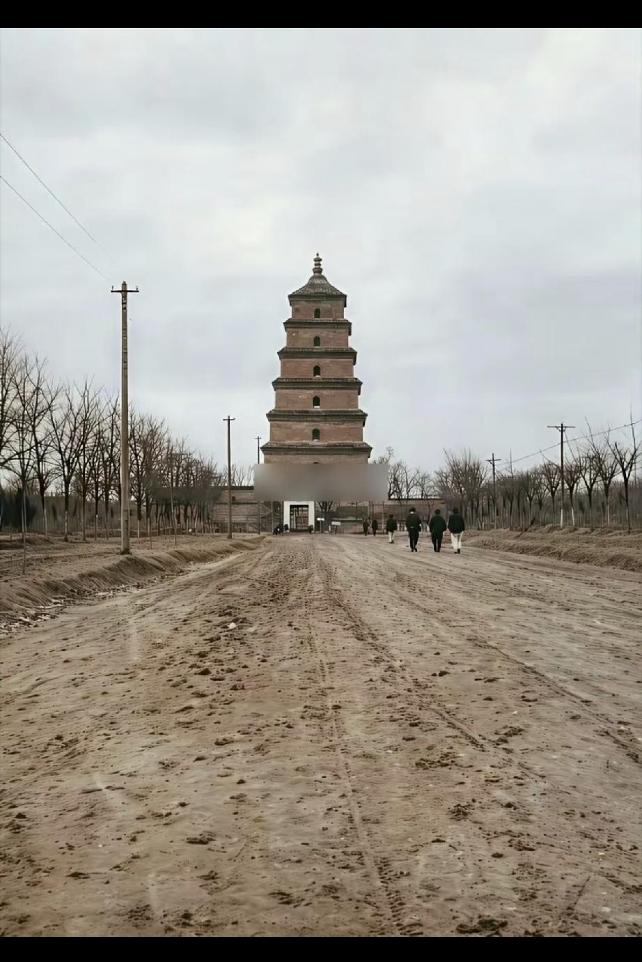 03年的时候大雁塔，向南看都是农田土地[笑哭]