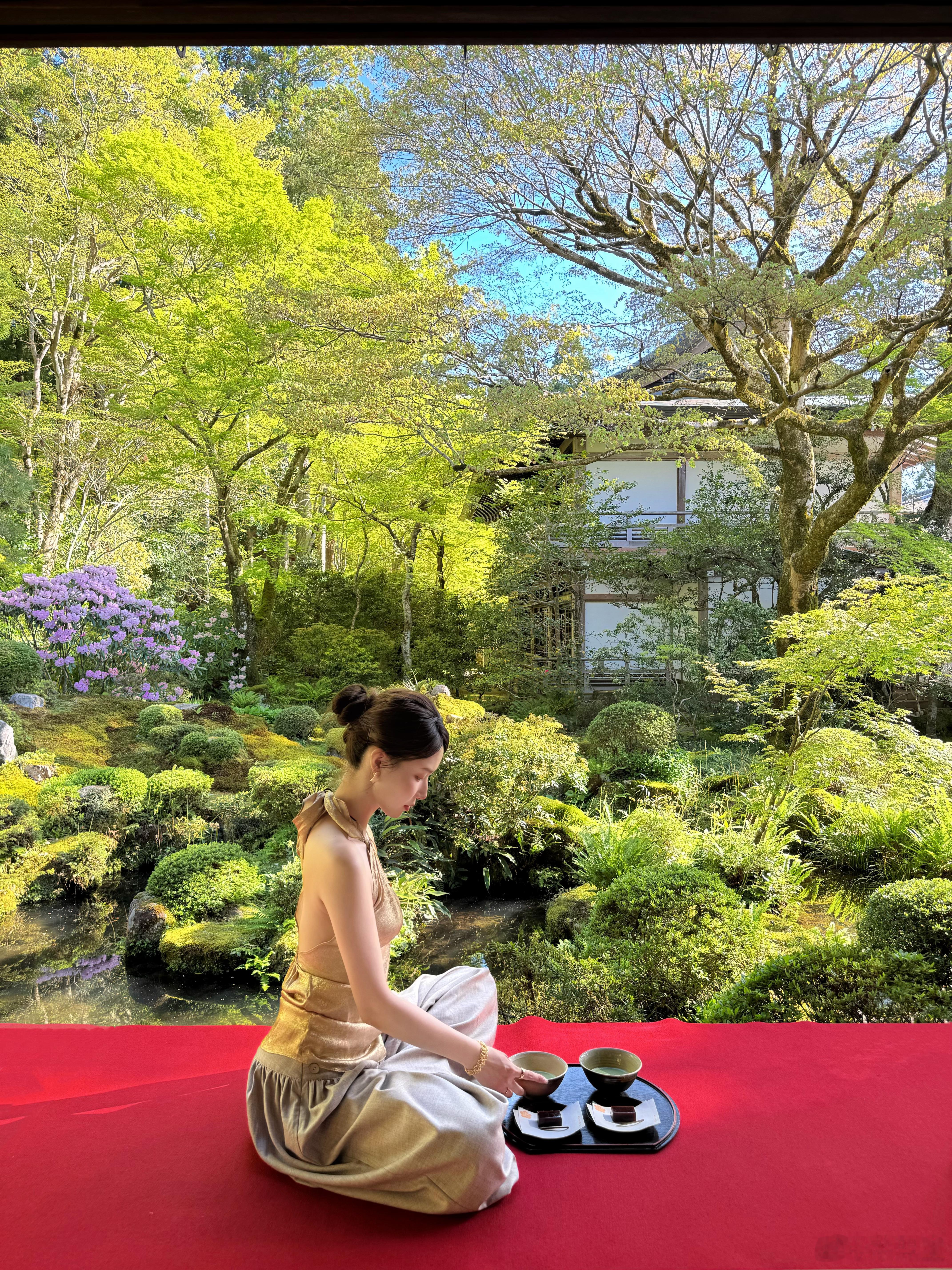 𝐾𝑦𝑜𝑡𝑜🌳  ​​​