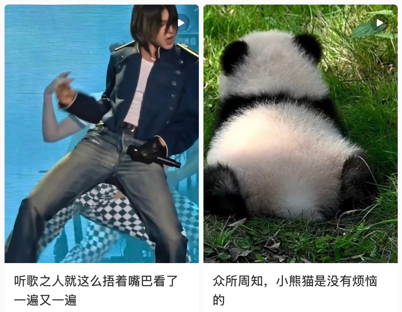 小红xu是会排版的。这俩的可爱程度在我心里🈚️区别 