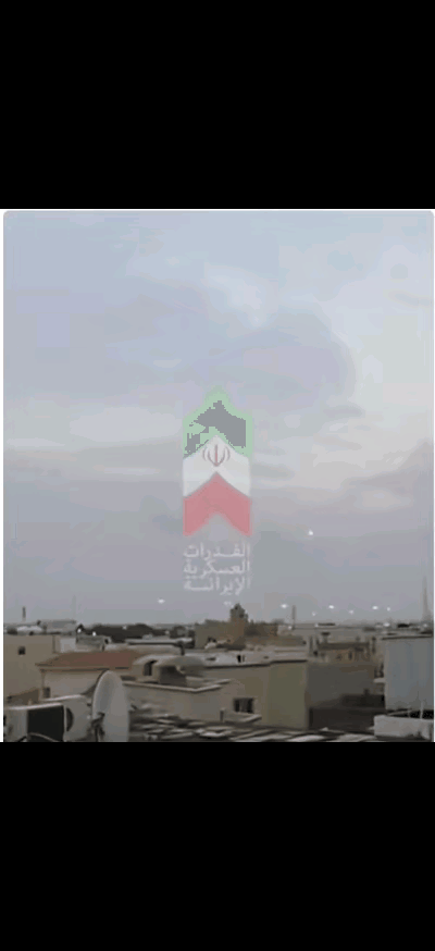 最尽职的“爱国者”
在空中拦不住你
哪怕是
钻进地里也要拦住你…
…………
这枚