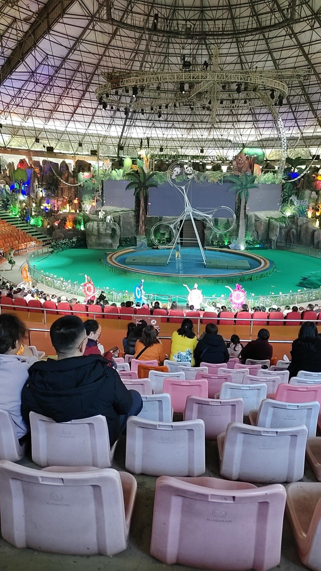 分享我这周有趣的事：看马戏