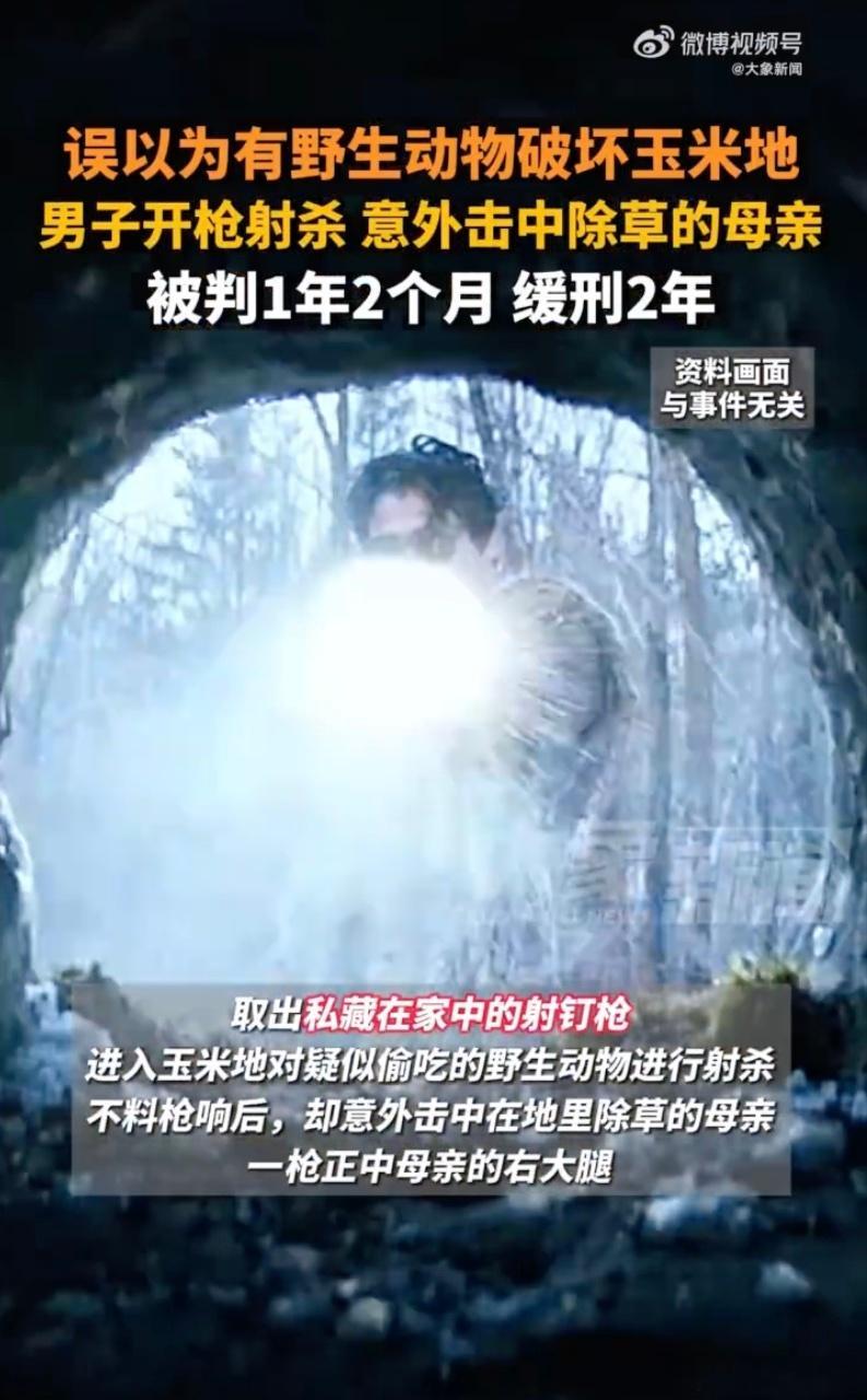 误以为是动物儿子开枪击中除草母亲  查了查才知道，普通木工用的钉枪和射钉枪不是一