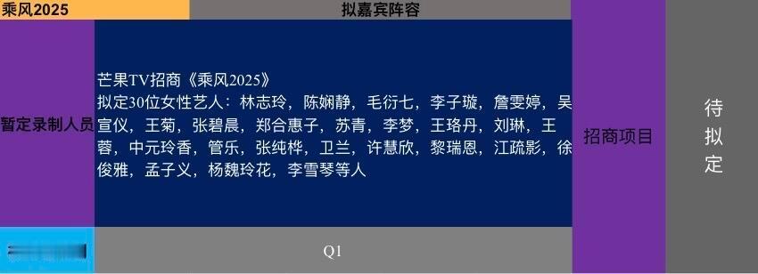 #乘风2025拟邀嘉宾#乘风2025拟邀嘉宾🈶，林志玲、陈娴静、毛衍七、李子璇