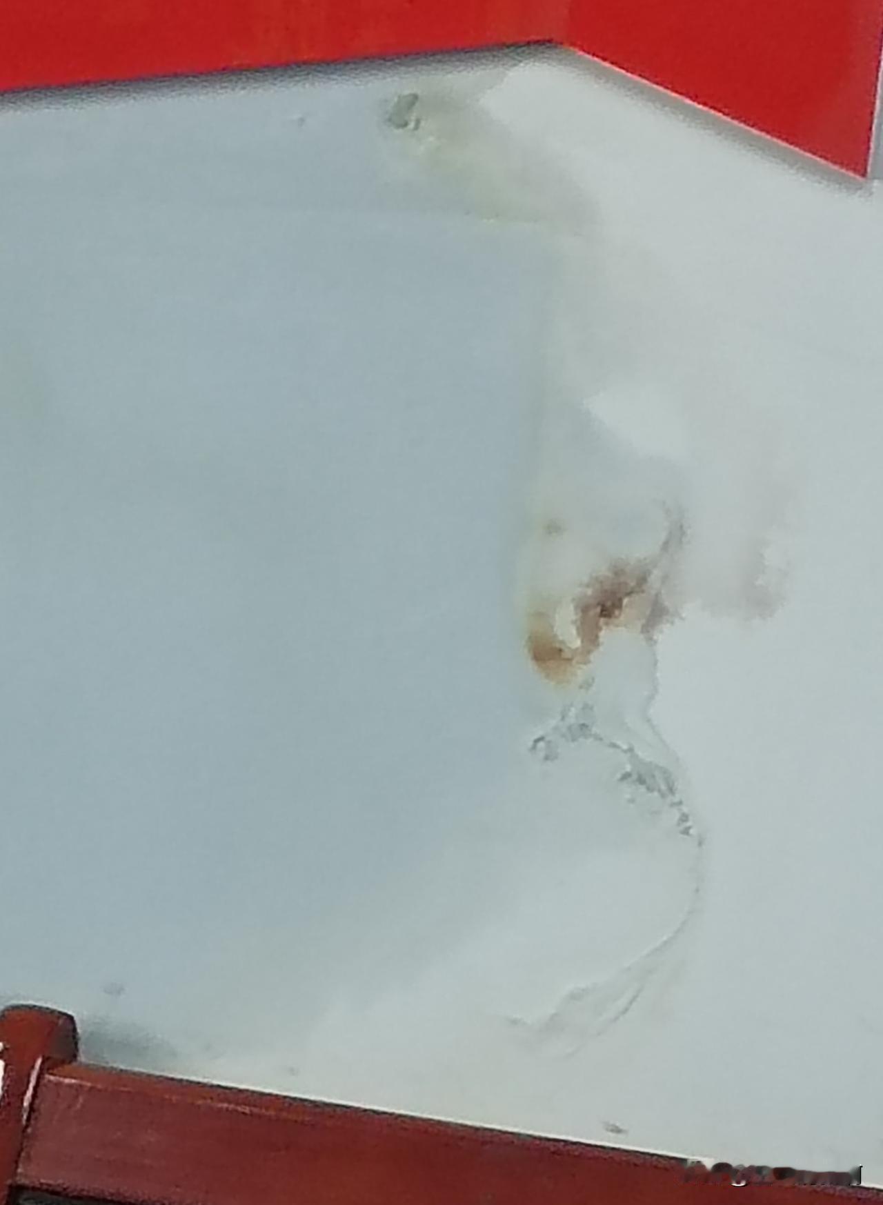 大自然就是工程师，
鬼斧神工是人工无法比及的，
这湿个墙都能画成画！