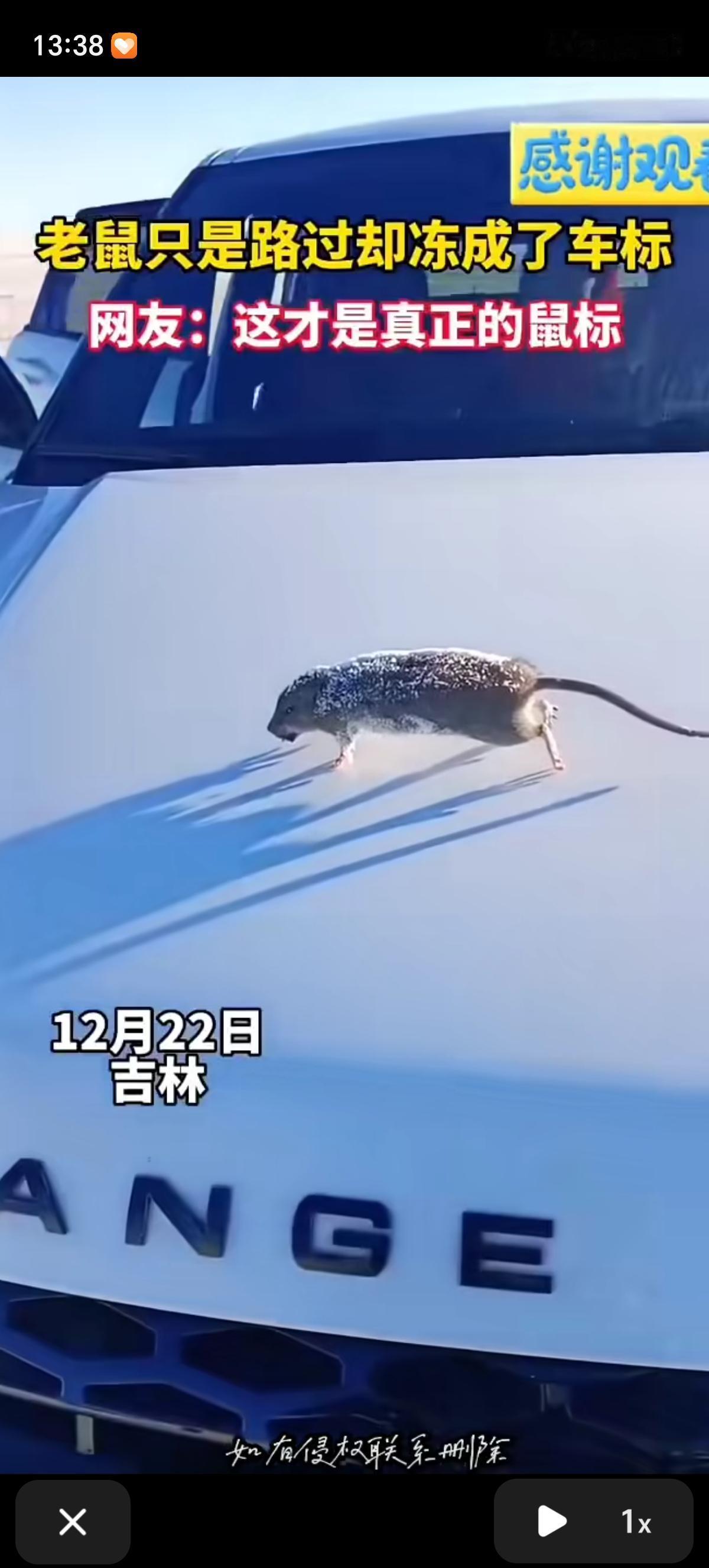 这鼠标很货真价实，这脚上的摩擦力也太好了，刚跑到车上就被冻住了，好奇等天气暖和点