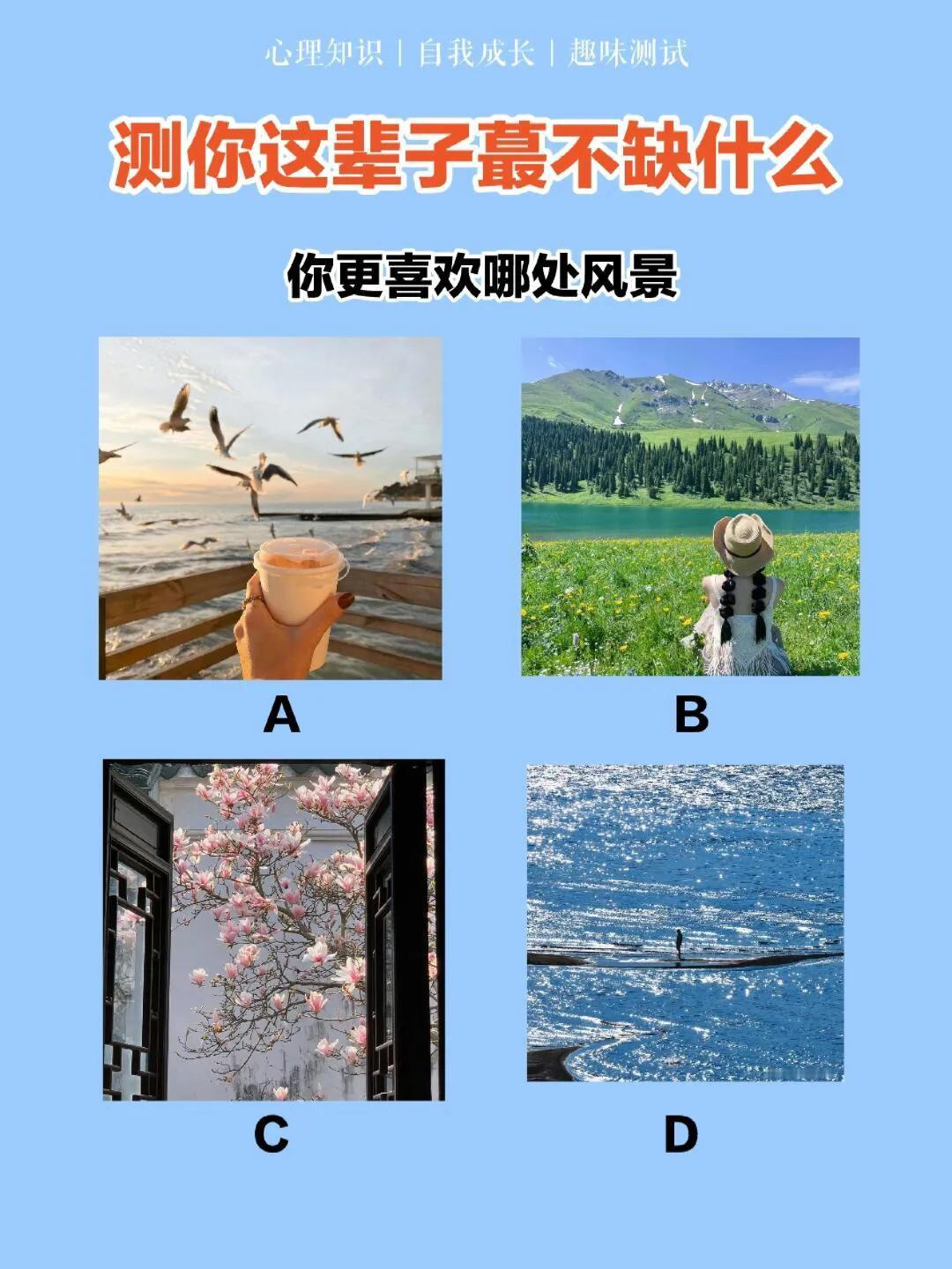 今天，我们就来做一个简单的心理测试，看看你这辈子蕞不缺什么。
根据第一直觉，我会