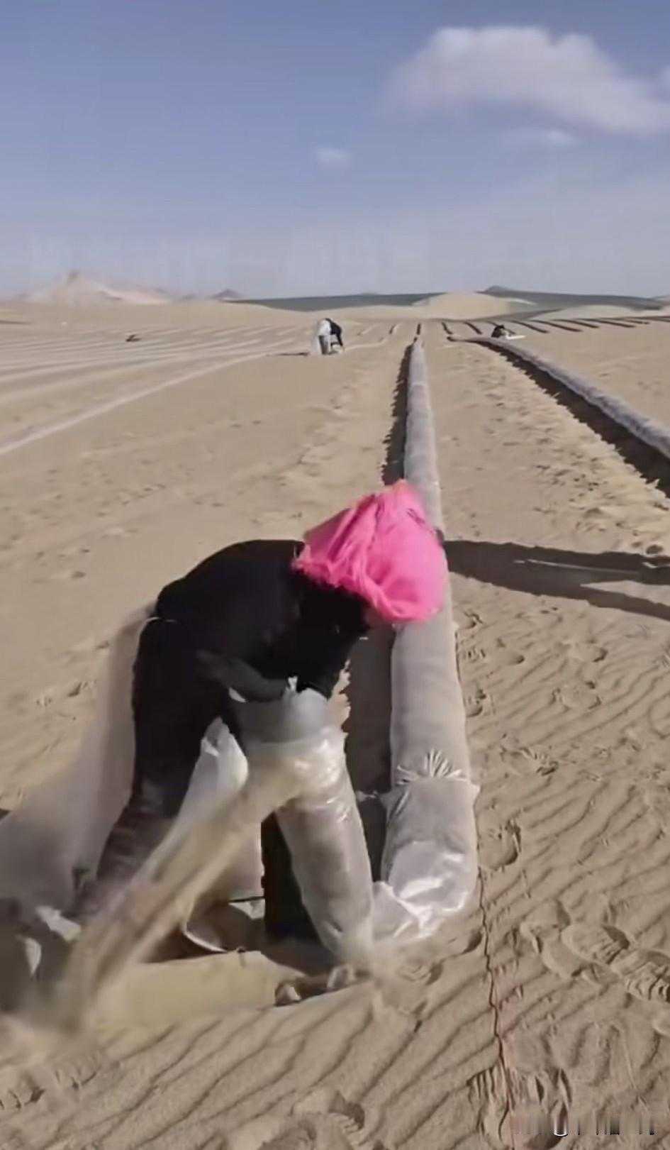 用沙袋模似了草方格，厉害，以沙止沙，好比以毒攻毒，中国人的人民智慧无比。
治沙成