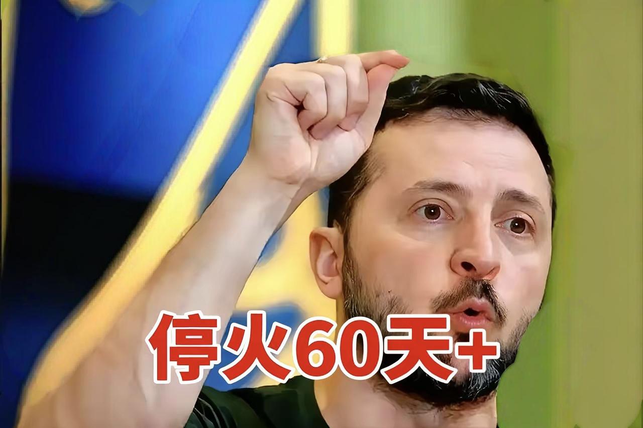 泽连斯基的停火公投，藏着多少算计
 
俄乌冲突第1349天，泽连斯基突然甩出停火