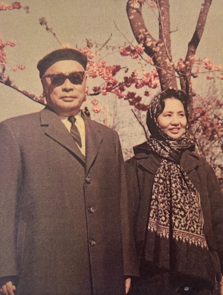 1964年3月，云南昆明，陈毅元帅与夫人张茜在樱花树前的合影，郎才女貌，十分养眼