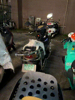 小区常驻“车座大佬”翻车了😂
 
小区里有只慵懒的小流浪猫，天天霸占业主的电动