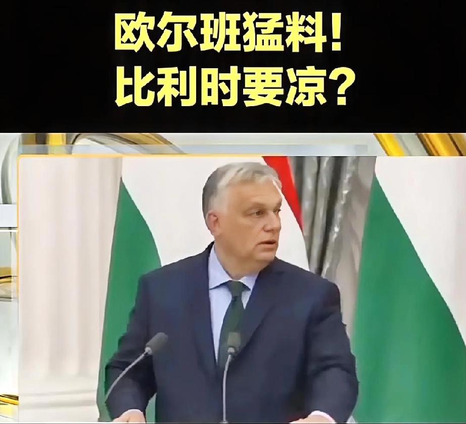 比利时现在估计快吓尿了。

真的，就差直接破产了。

这招真是够狠的，直接给比利