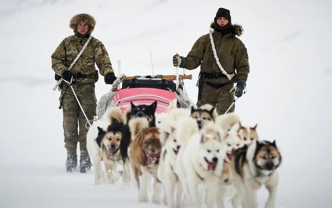 格陵兰岛自治政府发声明丹麦国防军驻格陵兰岛的精锐部队。烽火问鼎计划热门话题创作激