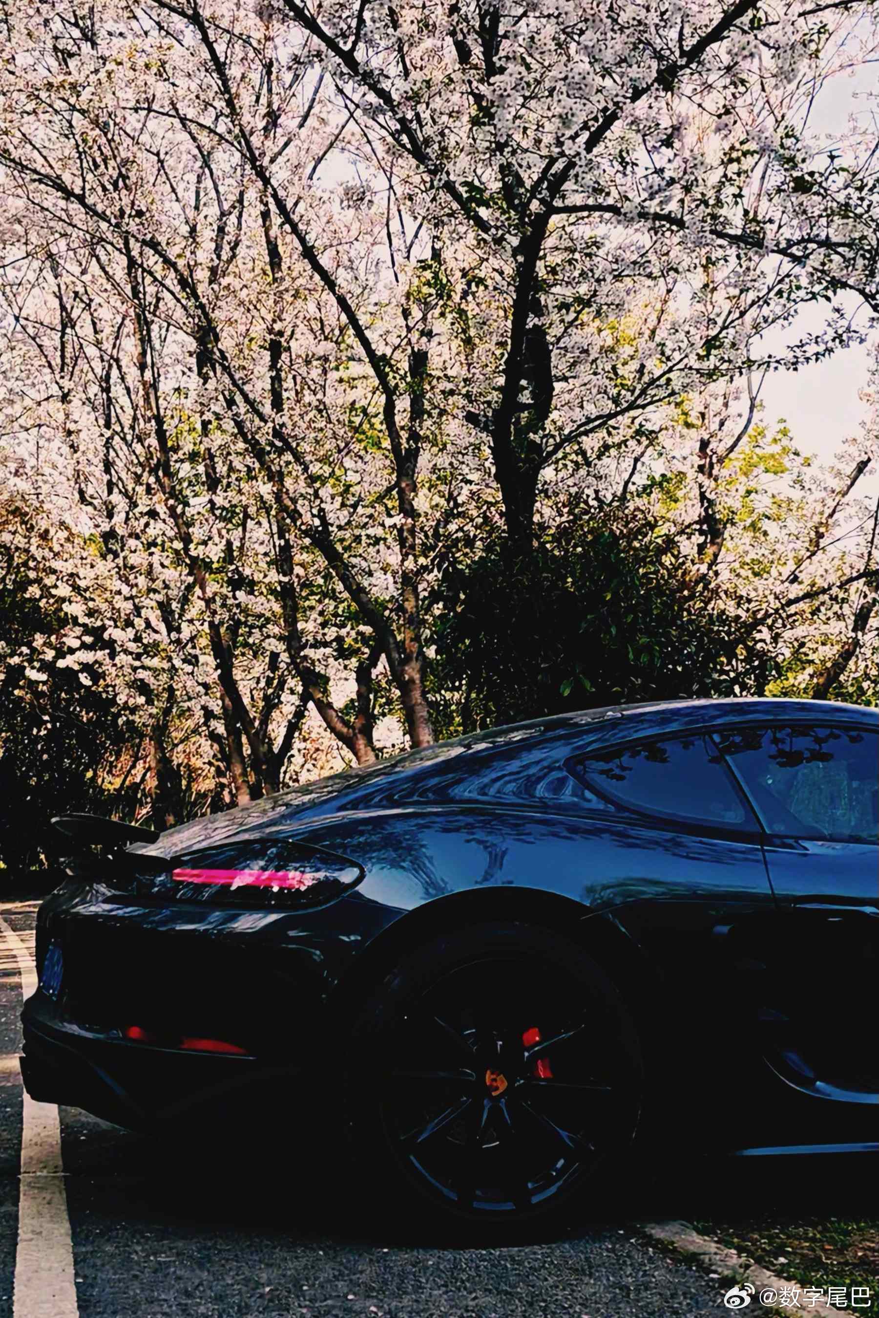 尾巴生活 趁天气好给车子拍一组照片构想的死角 