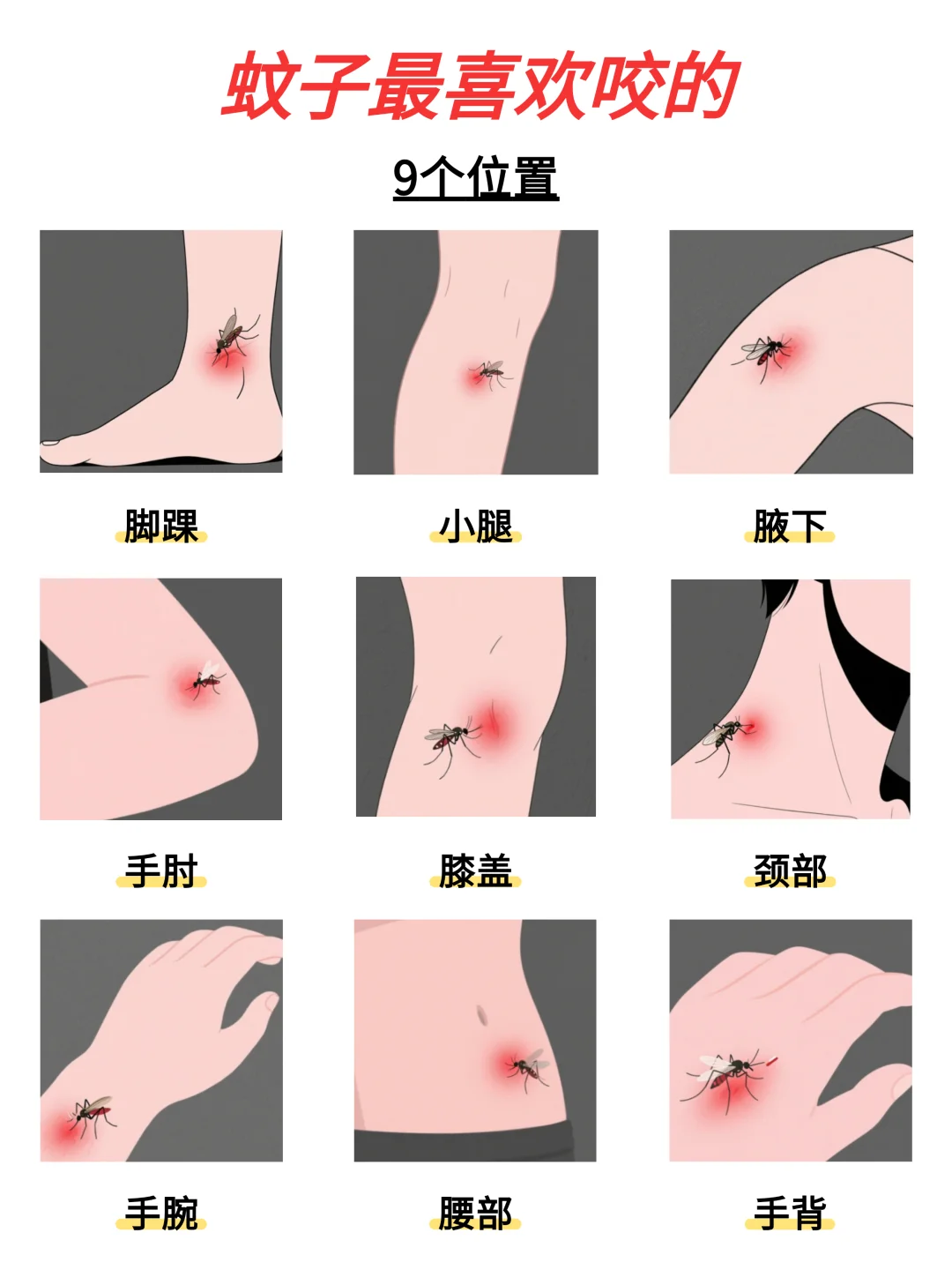 大揭秘🔥蚊子最喜欢咬的9个位置❗❗