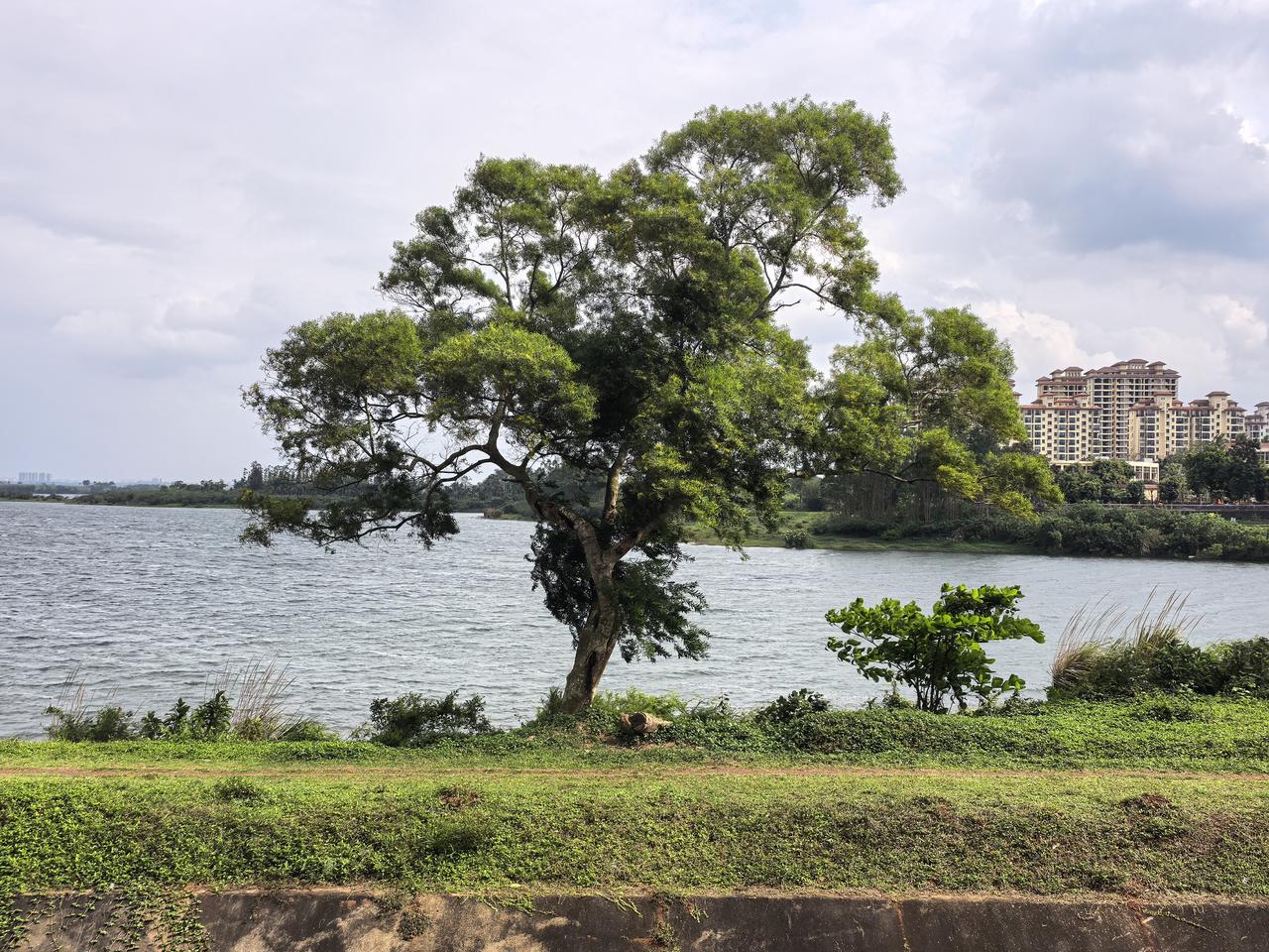 你觉得中国在哪些领域超越了美国在很多方面都超越了美国，从体育活动到高等教育，从日