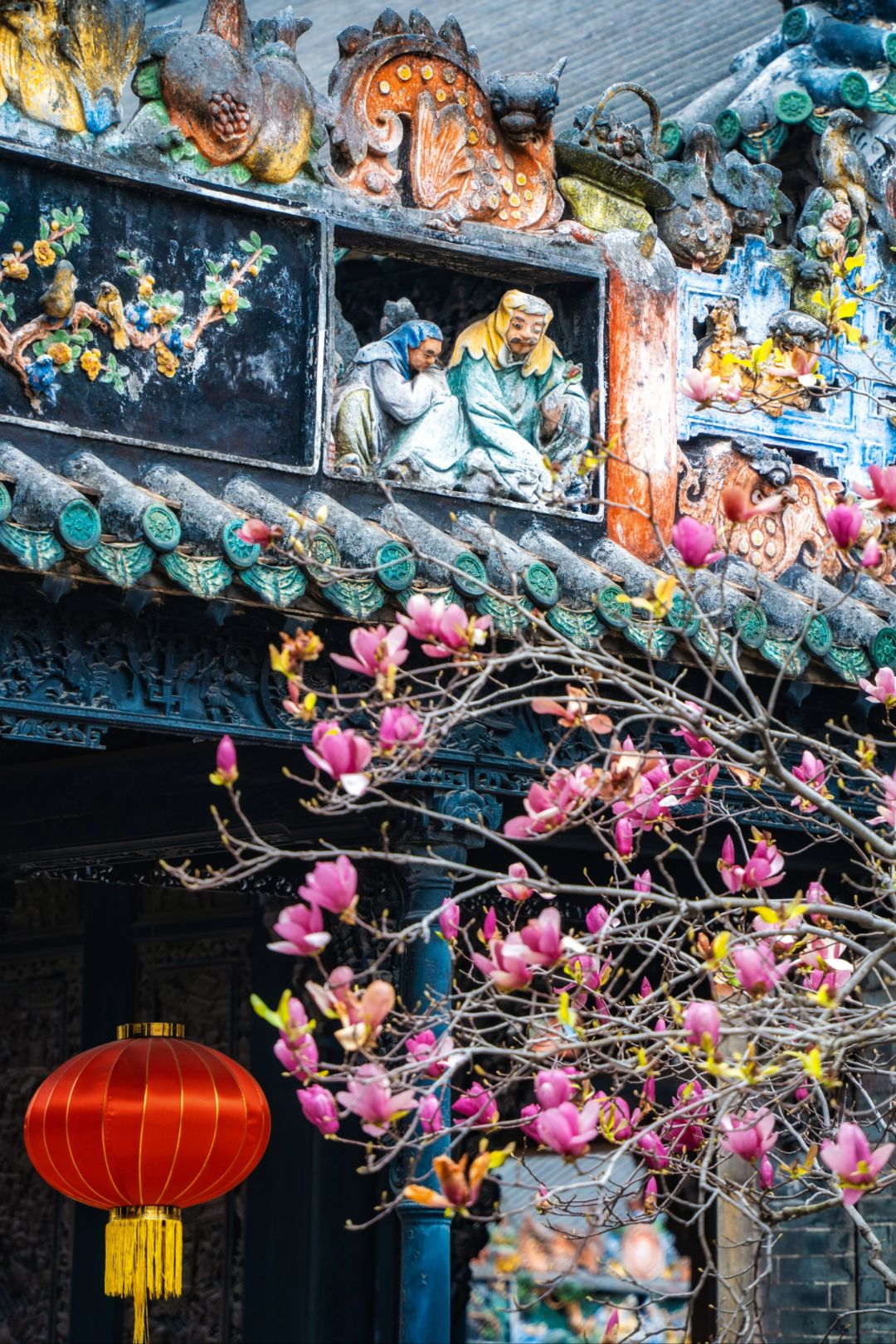 来广州陈家祠‼️与万方神明共赏红玉兰花！