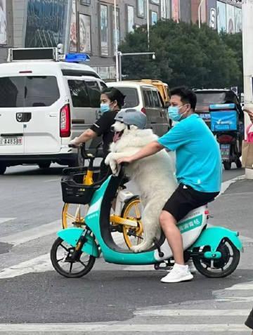 今年这班就上到这了 