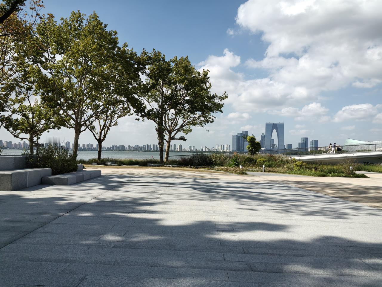 七律.沧桑

去岁今朝此景中，人和天际共相同。
亭亭小树寻常立，淡淡流云直向东。