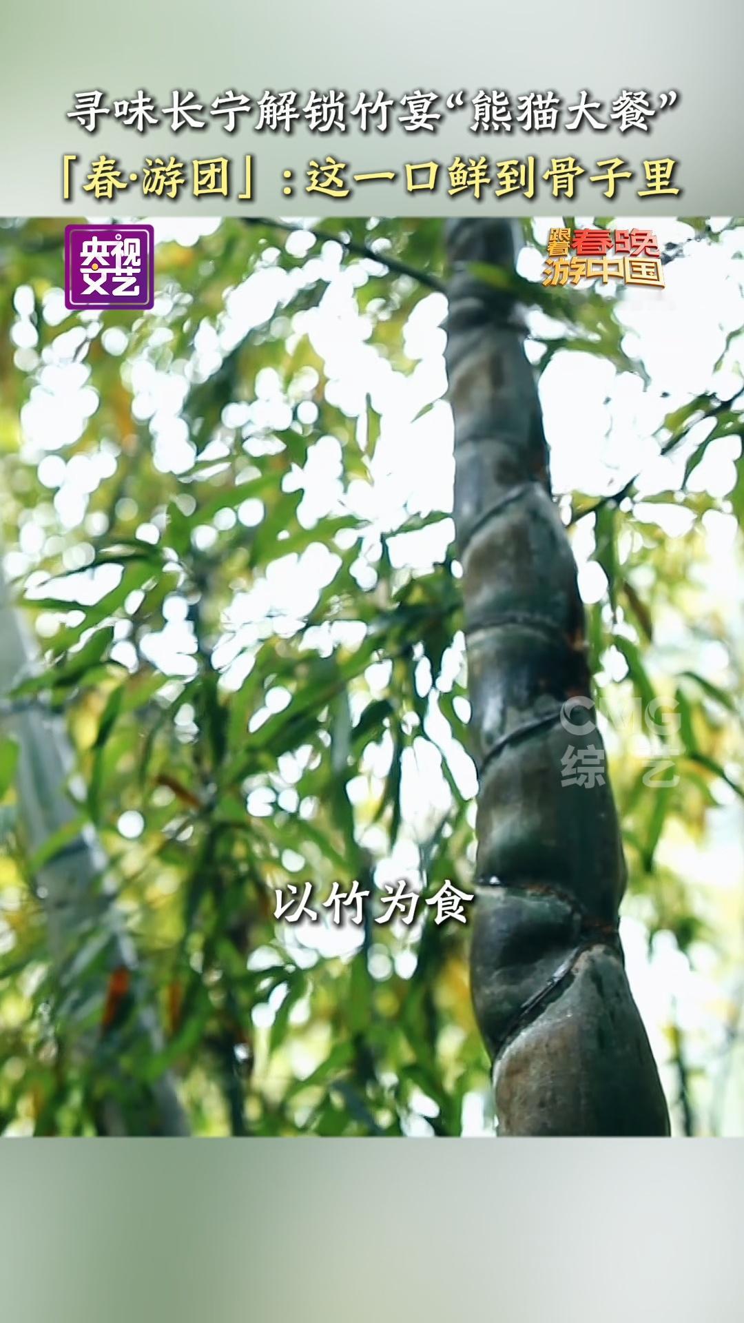 宜宾竹子可看可居可食宜宾的竹子也太全能了！能赏竹海风光、能做成居所，还能端上餐桌