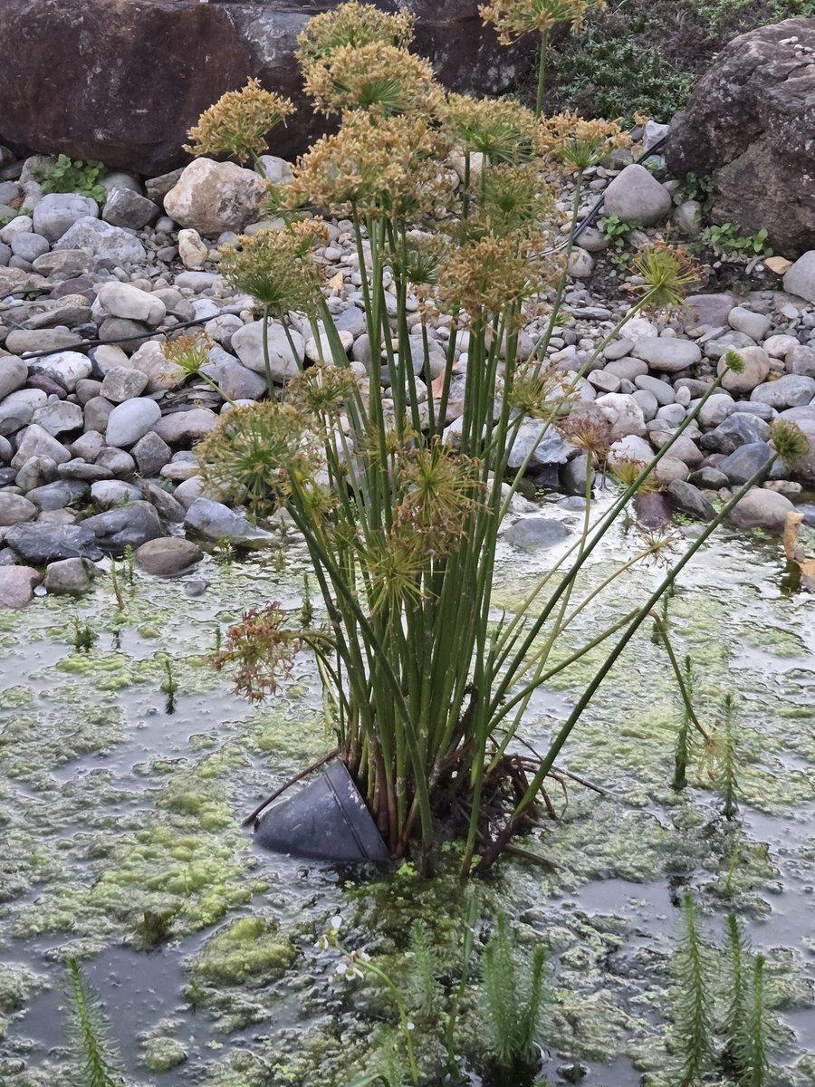 我们都会有跌倒的时候，但事情总有办法慢慢变得顺利起来。