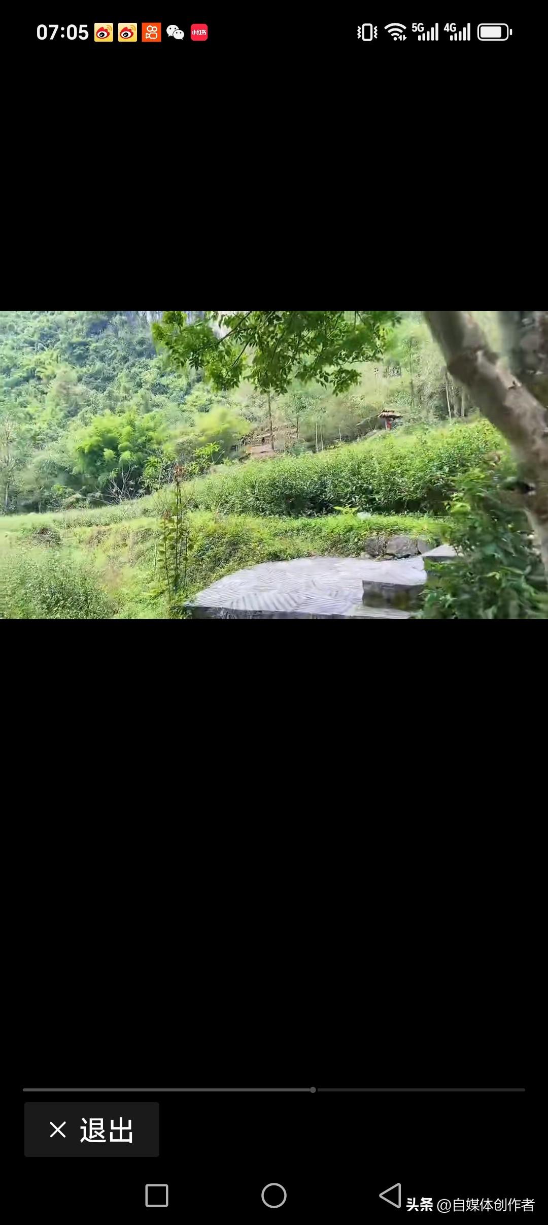 闲云抱岭，清泉静弹晨光曲
芒阳暖山，秀树动听乐鸟歌