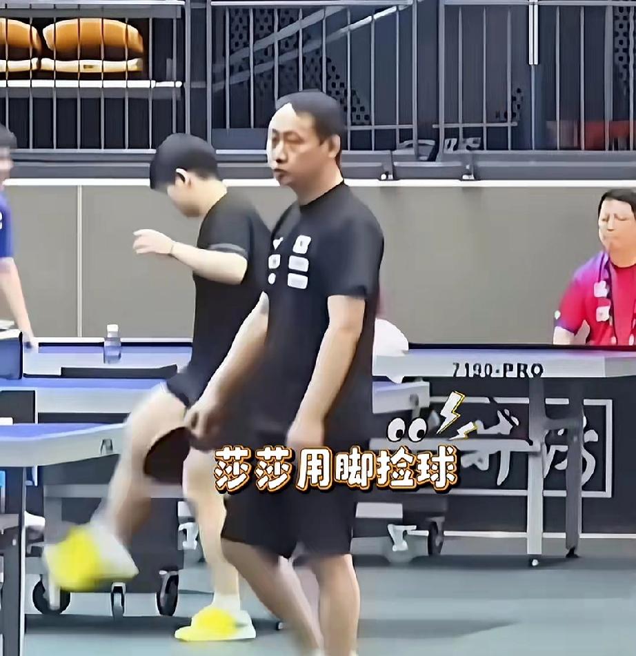 莎莎的捡球技能让大头和小石头羡慕不已，学不会!
惊讶了!
莎莎在训练场，对方的一