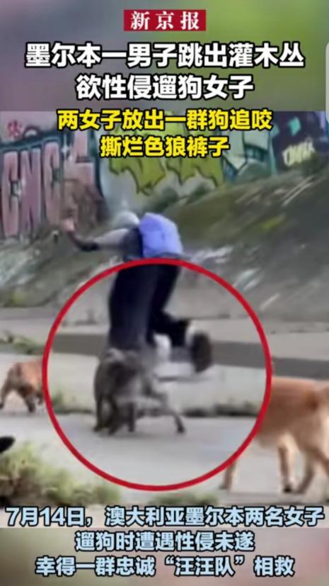 “活该！” 一男子躲在灌木丛里，看到 2 名女子遛狗，他见色起意，从灌木丛跳出来