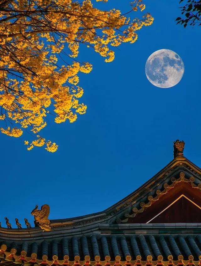 #中秋佳节的文化内涵#
中国人是一个非常重视情感的民族，所以我们的佳节是非常多的