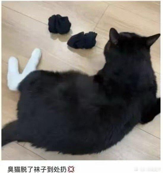 下夜班第一件事：帮今天上班的漂亮小姐姐把临时凑在路边的中型SUV塞进老破小（不是