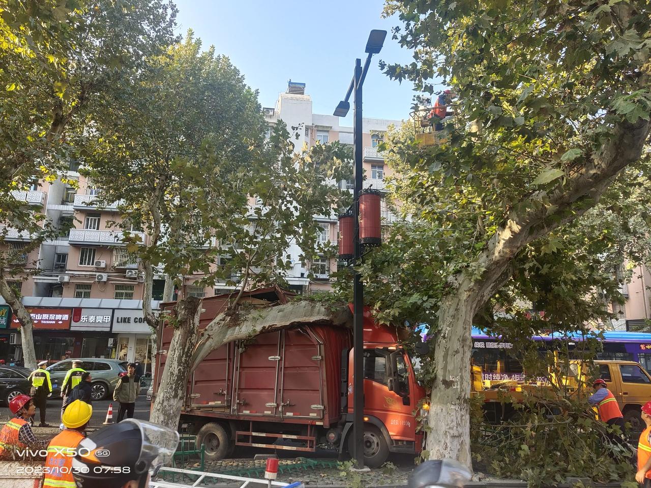 事发南京，开车子能被树卡住，也是醉了！
一大早送孩子上学，南京长乐路与中山南路交