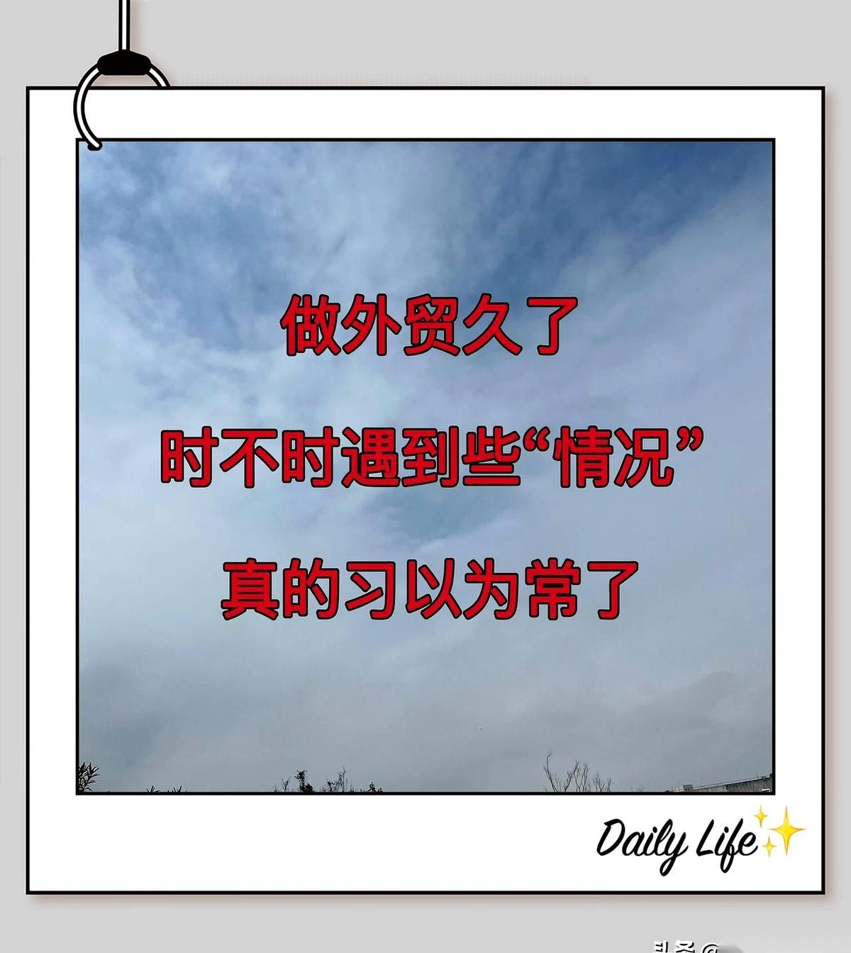电脑屏幕上弹出一行刺眼的红字：全额退款。理由：“质量与描述不符”。
屏幕这头，外