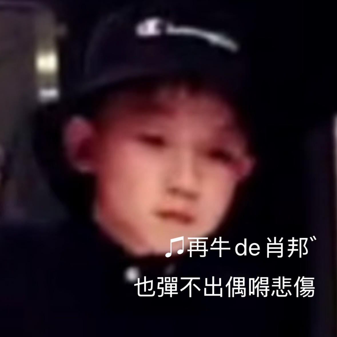 分享图片 