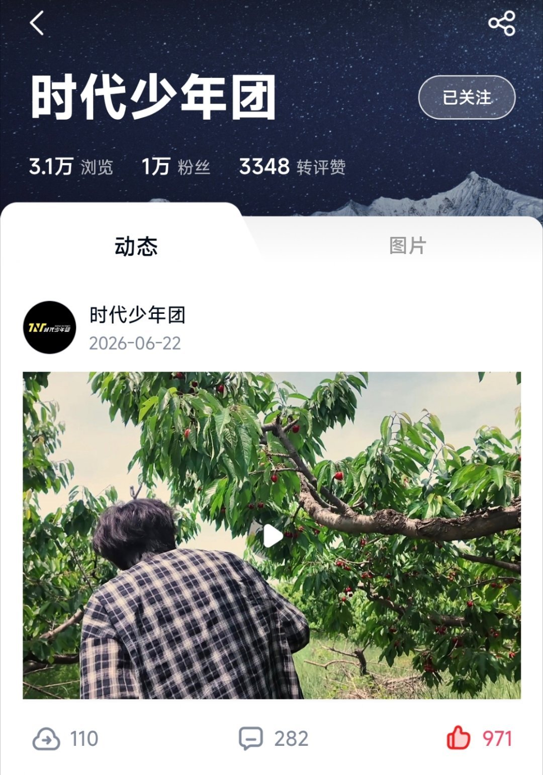 官方已入驻网盘，关注都点起来每个视频的书局都是可视化的，挨个一键三连‼️ 指路: