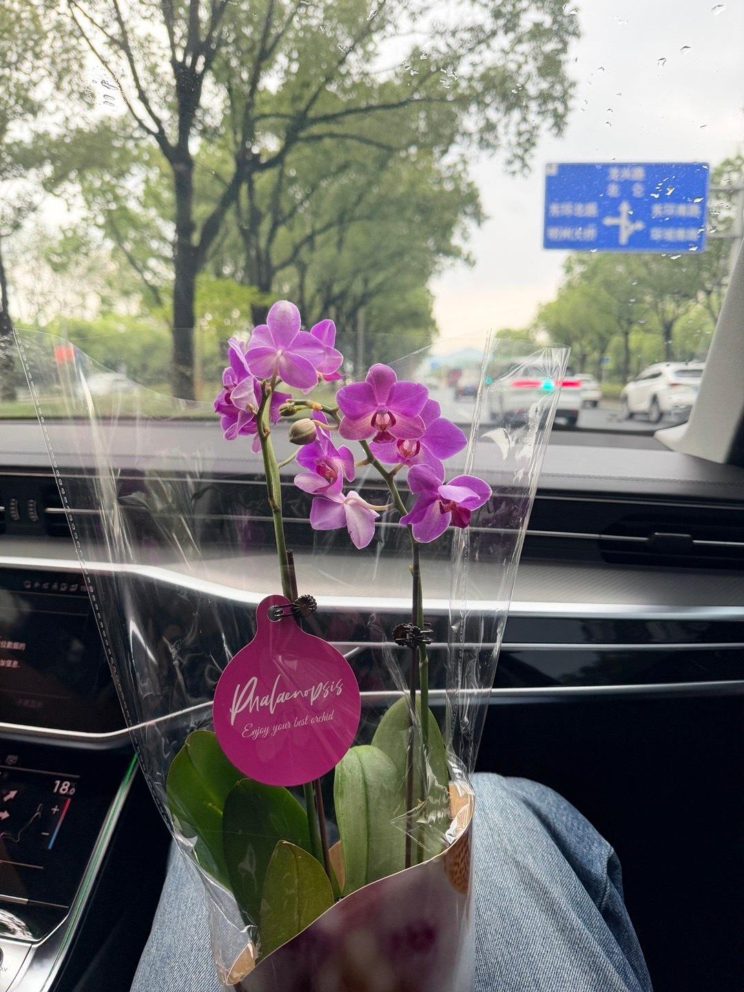 假期愉快😀  ​​​