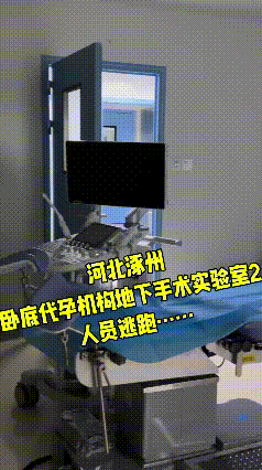 上官正义，这次又有新的发现，他历时半年的卧底，发现了代孕的黑产业链，进行了举报，