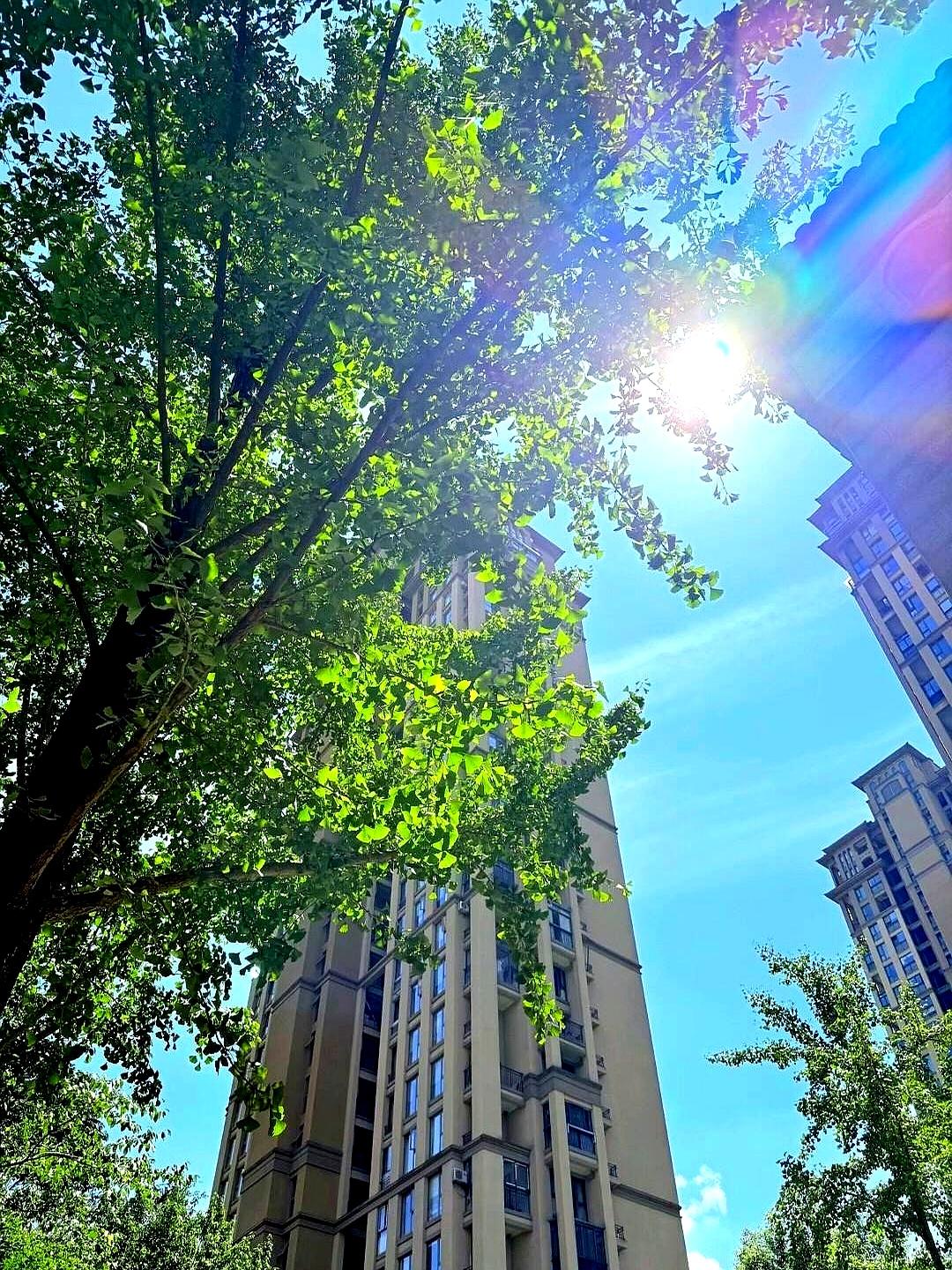 真不是我矫情，这两年的夏天，跟以前那会儿完全不是一回事。
以前靠一把蒲扇还能熬过