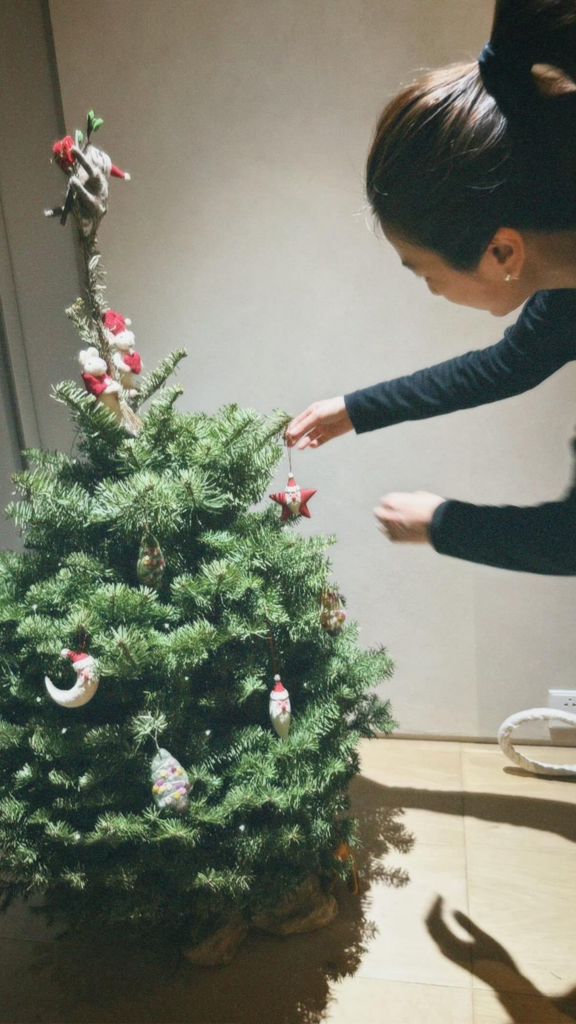 田馥甄的可爱圣诞树🎄 