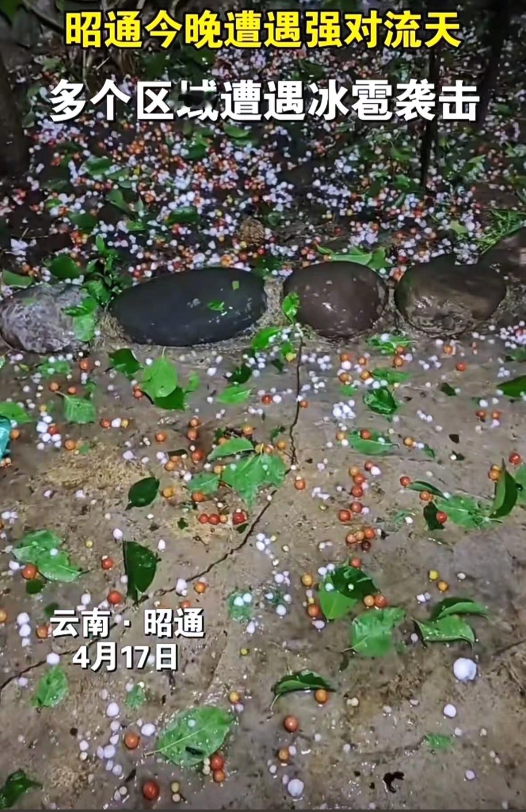 昭通这阵子可真是“雹灾连连”啊！4月才过一半，冰雹就已经来了好几轮：

4月10