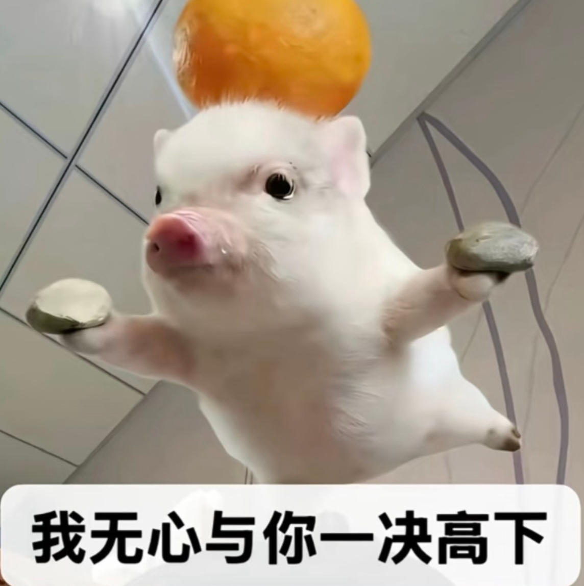 于是猪摊开蹄 允许一切流走 