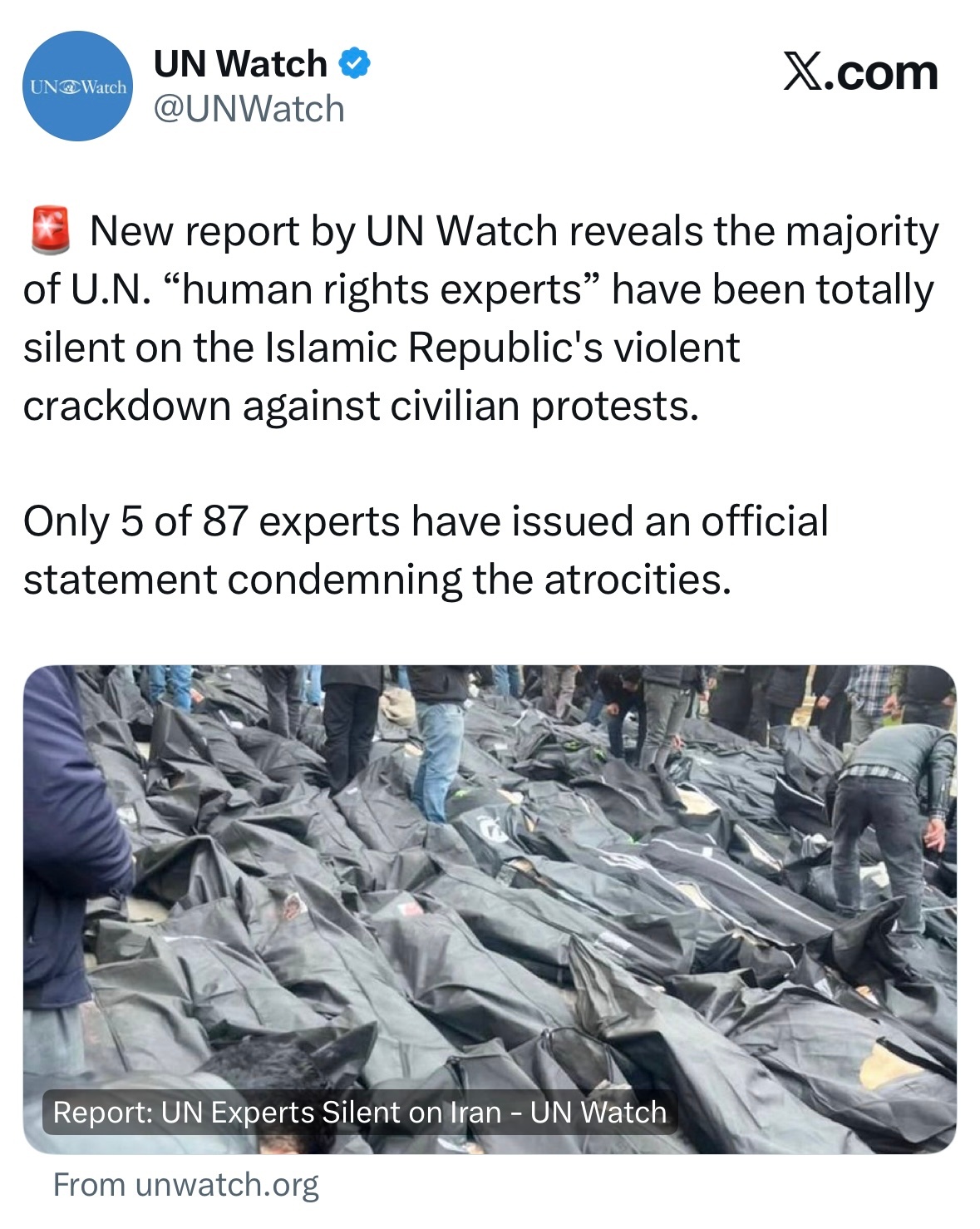 非政府组织“联合国观察”1月14日发布报告指出，自2025年12月28日伊朗爆发